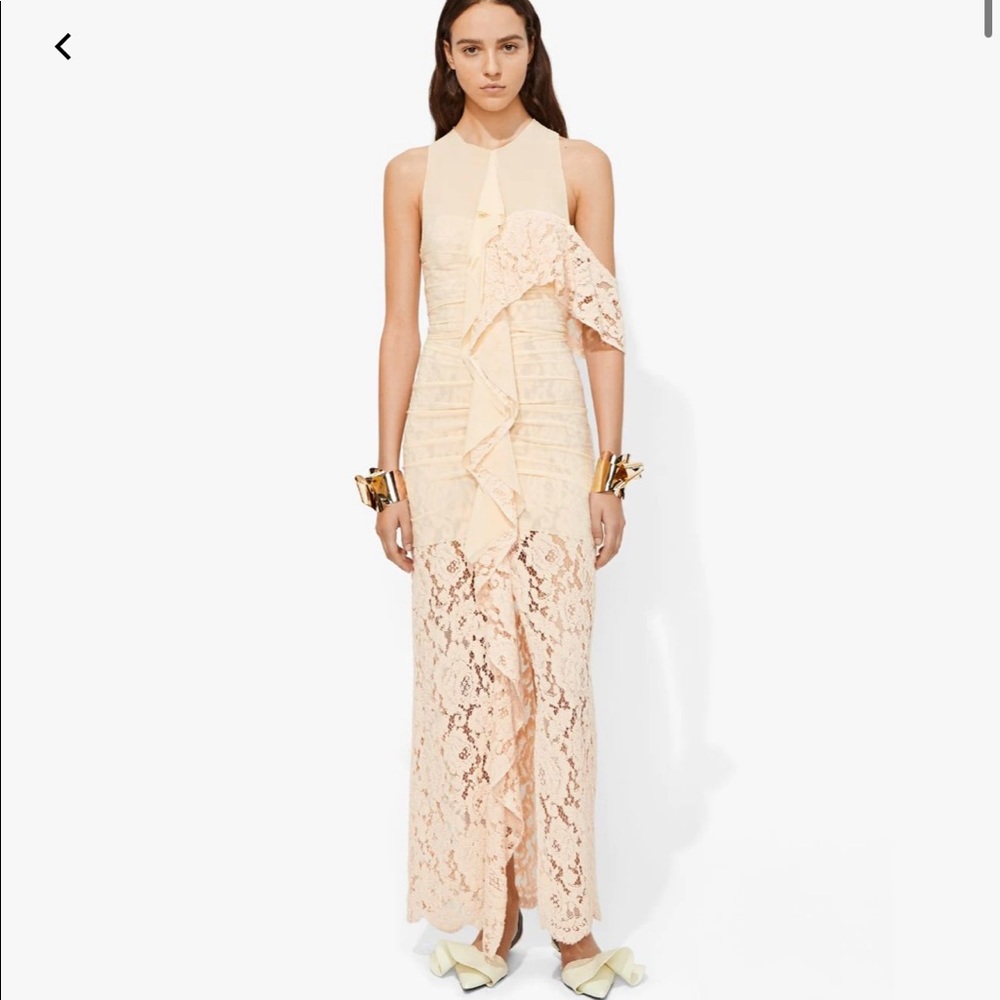 NWT PROENZA SCHOULER Nude lace dress. Size 8